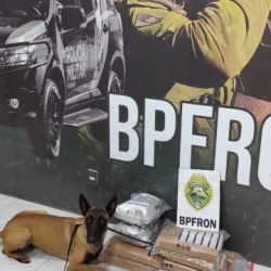 BPFRON apreende drogas em ônibus e prende duas pessoas em Umuarama