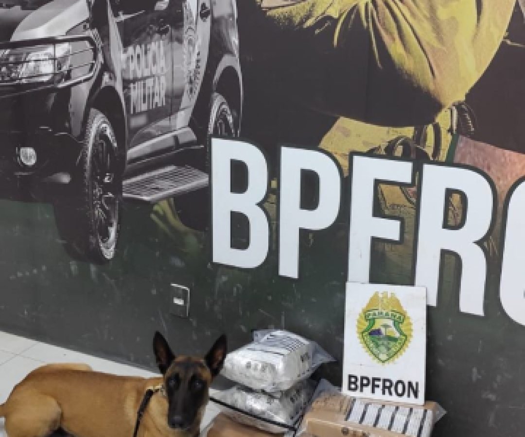 BPFRON apreende drogas em ônibus e prende duas pessoas em Umuarama
