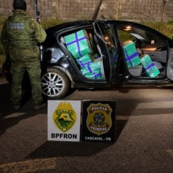 BPFRON e Polícia Federal apreendem 480 kg de maconha após perseguição na BR-277