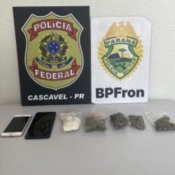 BPFRON e Polícia Federal apreendem droga e celulares na BR-277, em Cascavel