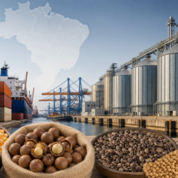 brasil-amplia-acesso-para-produtos-agropecuarios-em-13-parceiros-comerciais-1200x675.png