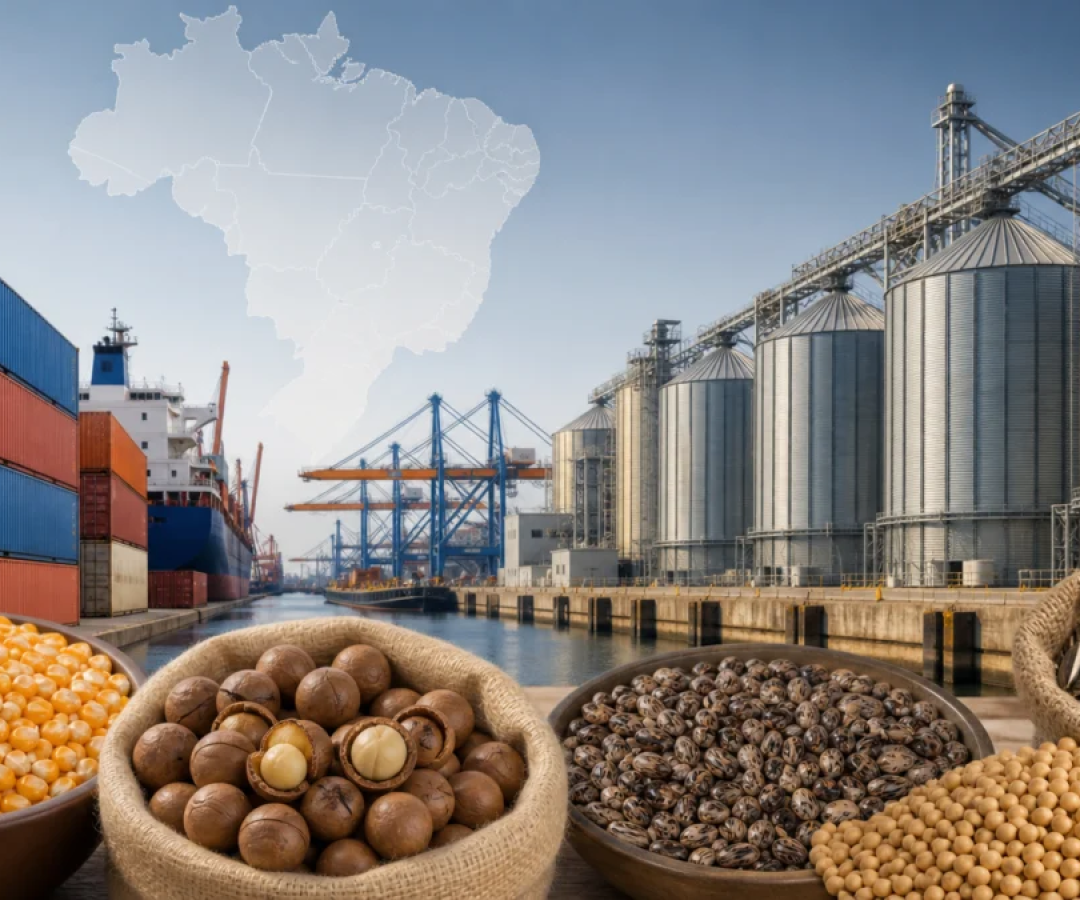 brasil-amplia-acesso-para-produtos-agropecuarios-em-13-parceiros-comerciais-1200x675.png