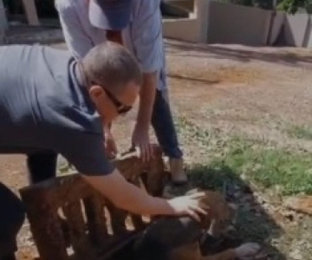 Cachorro é resgatado de dentro de bueiro no Universitário