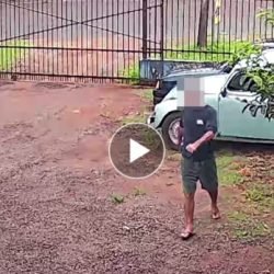 Câmera mostra dois furtos em menos de 24h em auto elétrica de Cascavel