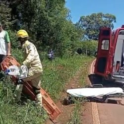 Caminhão carregado de suínos tomba na PR-180, em Rio do Salto