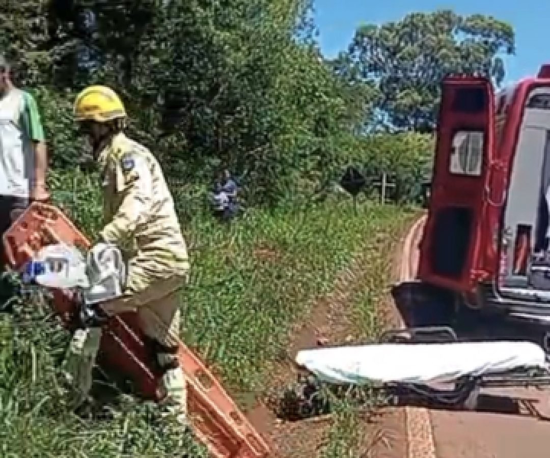 Caminhão carregado de suínos tomba na PR-180, em Rio do Salto