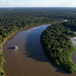 Amazônia Legal teve uma redução de 11,08% no desmatamento em um ano