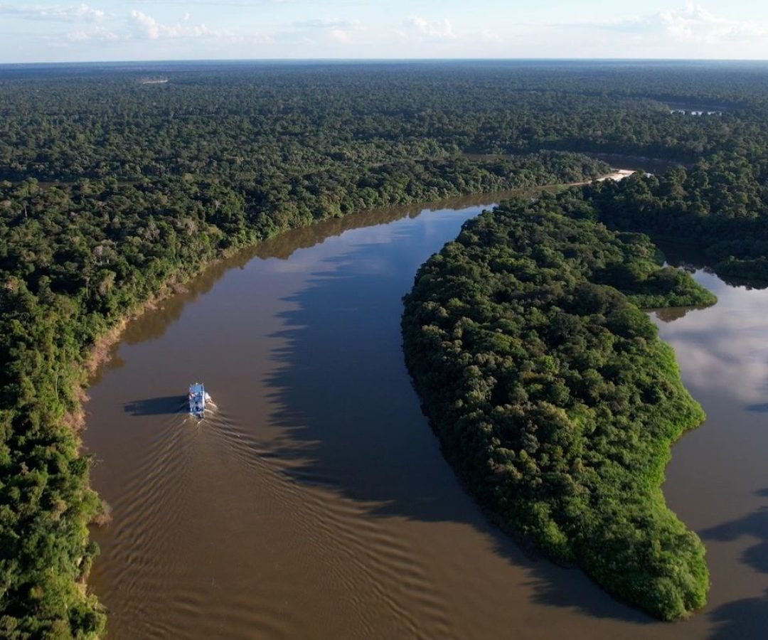 Amazônia Legal teve uma redução de 11,08% no desmatamento em um ano