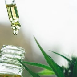 cannabis-medicinal.jpg