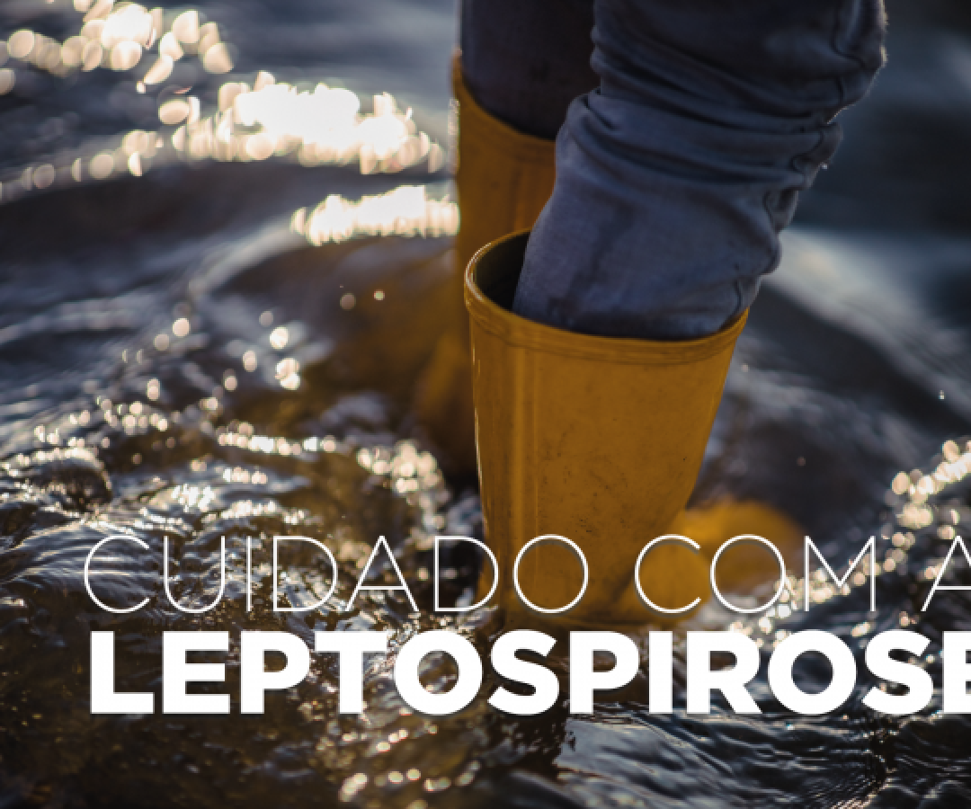 Saúde alerta: leptospirose é doença grave e risco aumenta após chuvas