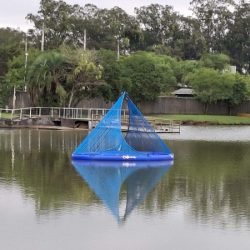 IAT inicia projeto-piloto que usa microrganismos para melhorar a qualidade da água