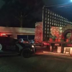 Carreta com 3,6 mil garrafas de vinho é apreendida em Santo Antônio do Sudoeste