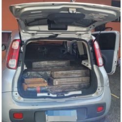PCPR apreende 400 quilos de maconha em Cândido de Abreu a partir de denúncia anônima