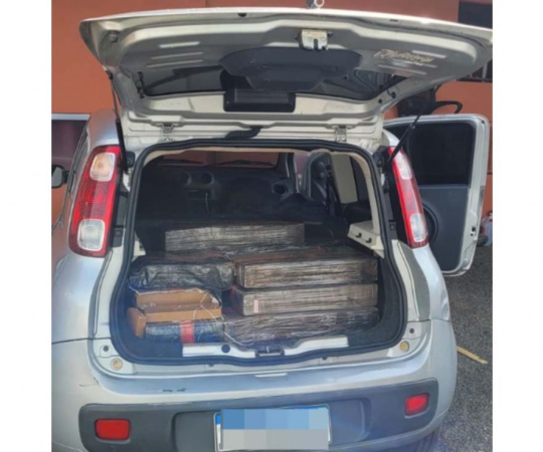 PCPR apreende 400 quilos de maconha em Cândido de Abreu a partir de denúncia anônima