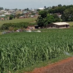 Casal é encontrado morto dentro de residência em Boa Vista da Aparecida