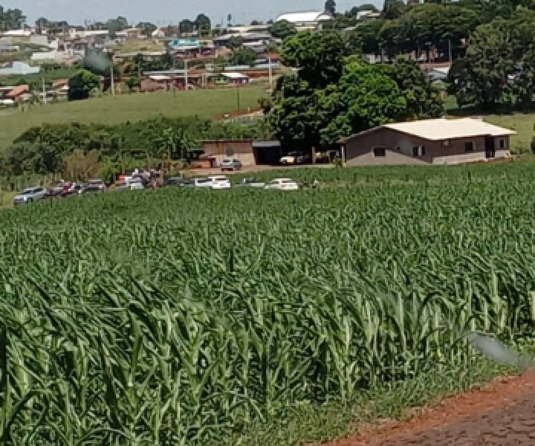Casal é encontrado morto dentro de residência em Boa Vista da Aparecida