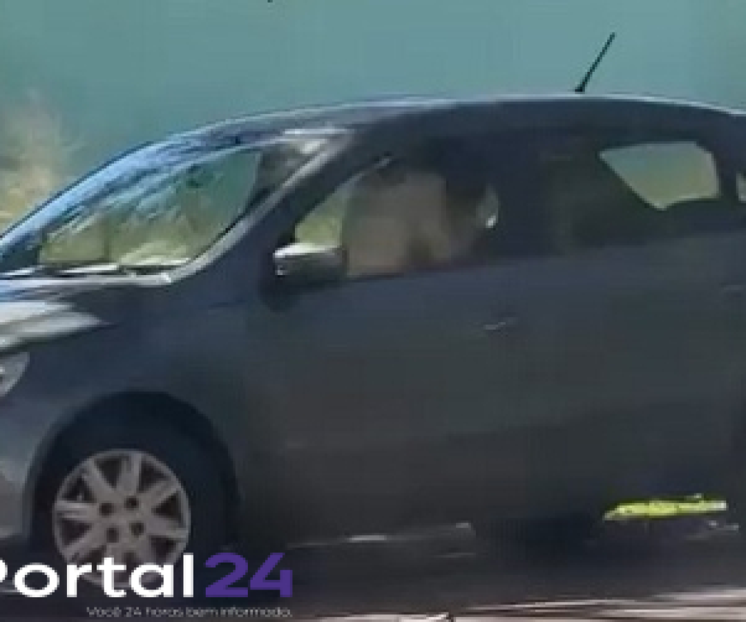 Casal é flagrado praticando atos libidinosos dentro de carro em via pública de Cascavel
