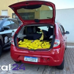 Casal é preso com drogas na BR-163 enquanto seguia para Curitiba