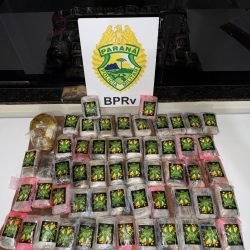Casal é preso com mais de 12 quilos de haxixe marroquino escondidos em tanque de combustível na PR-323