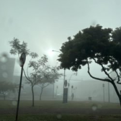 Cascavel amanhece coberta pela neblina e inicia junho com frio e tempo firme
