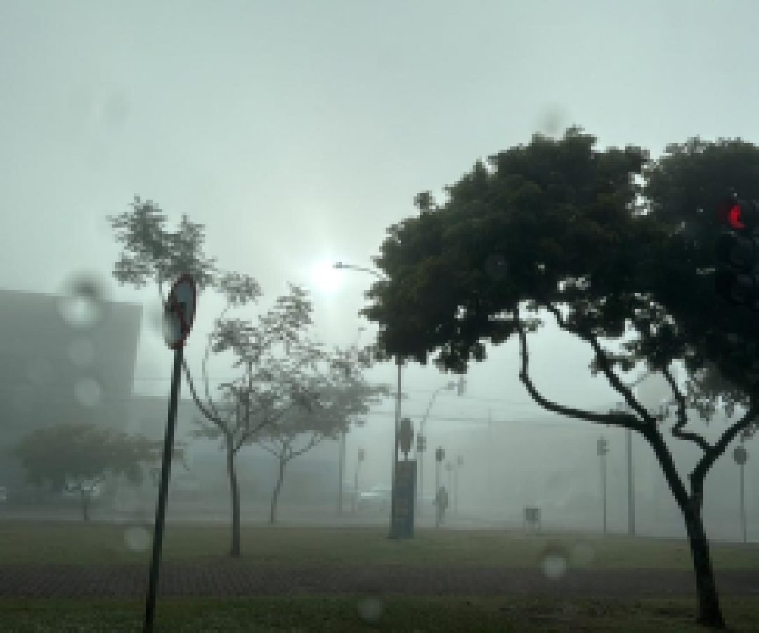 Cascavel amanhece coberta pela neblina e inicia junho com frio e tempo firme