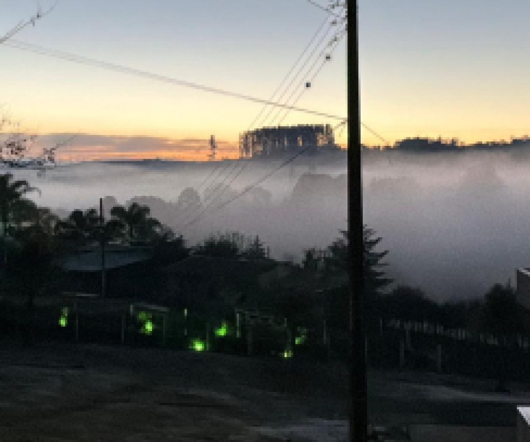 Cascavel amanhece com 2°C, sensação térmica de -1°C e registros de geada em diversos bairros