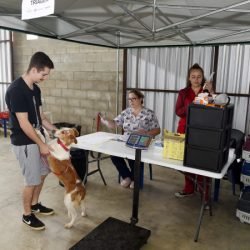 CastraPet leva saúde e bem-estar a cães e gatos da Região Metropolitana de Curitiba