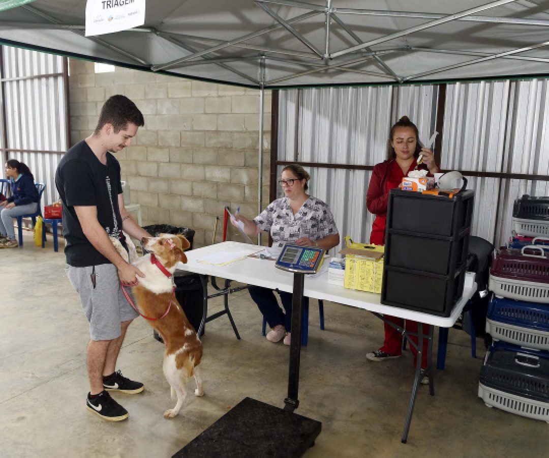 CastraPet leva saúde e bem-estar a cães e gatos da Região Metropolitana de Curitiba