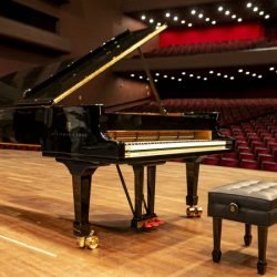 Atividades do Mês das Mulheres e estreia do novo piano da OSP marcam a agenda cultural