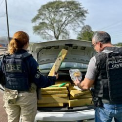 Em ação conjunta, PCPR e PRF apreendem 400 kg de maconha em Santa Terezinha do Itaipu