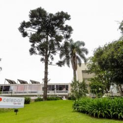 Governo do Paraná publica edital para leilão de desestatização da Celepar