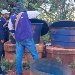 entenda doença que preocupa Mato Grosso do Sul