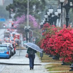 Semana será de gangorra nas temperaturas e chuvas irregulares, prevê o Simepar