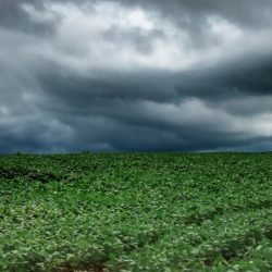 Tempestades atingem Campos Gerais e Norte do Paraná e seguem em direção ao Leste