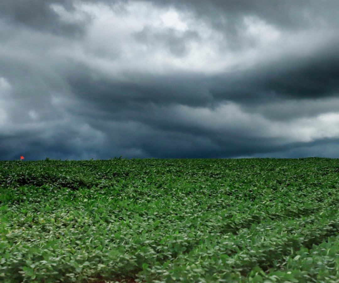 Tempestades atingem Campos Gerais e Norte do Paraná e seguem em direção ao Leste