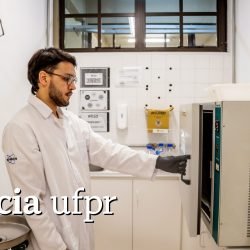 Pesquisa investiga o uso da babosa para curativos mais flexíveis e eficazes