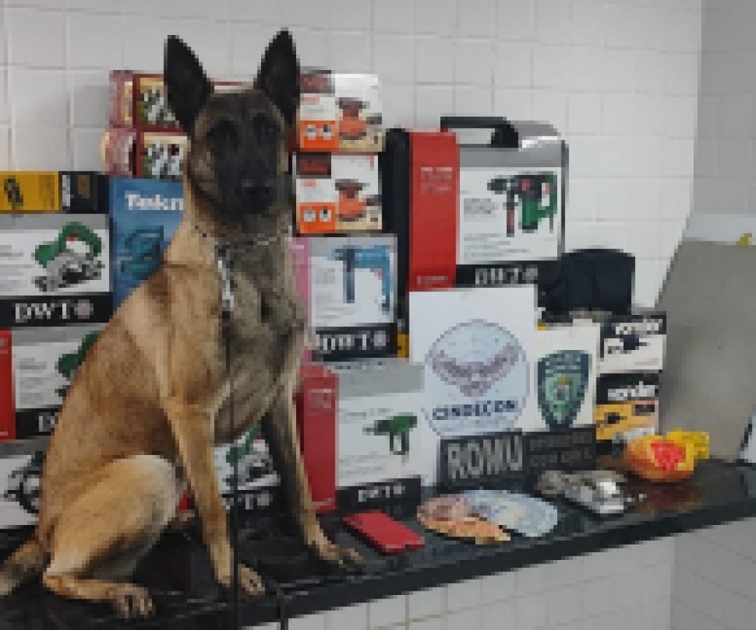 Cinco são detidos em operação da Guarda Municipal por tráfico e receptação