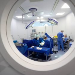 Programas estratégicos reforçam regionalização e ampliam acesso à saúde no Paraná