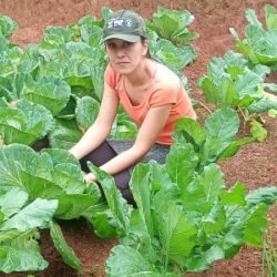Segurança alimentar e renda: IDR-Paraná implanta hortas domésticas em Campo Largo