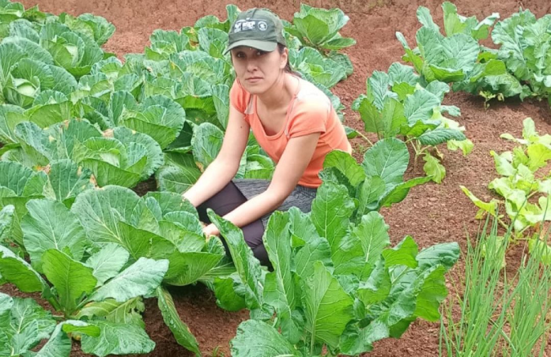 Segurança alimentar e renda: IDR-Paraná implanta hortas domésticas em Campo Largo