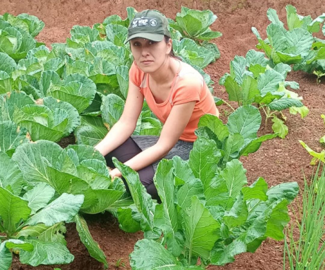 Segurança alimentar e renda: IDR-Paraná implanta hortas domésticas em Campo Largo