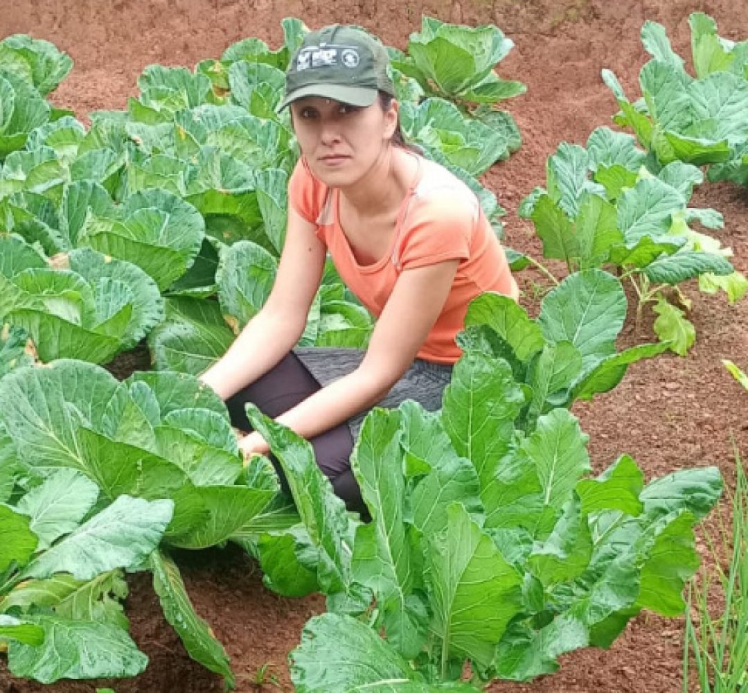 Segurança alimentar e renda: IDR-Paraná implanta hortas domésticas em Campo Largo