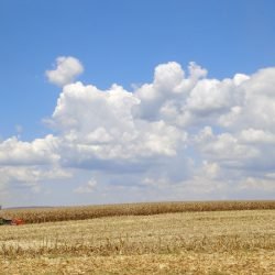 Paraná cresce acima da média nacional em 2023 e mantém 4º maior PIB do País