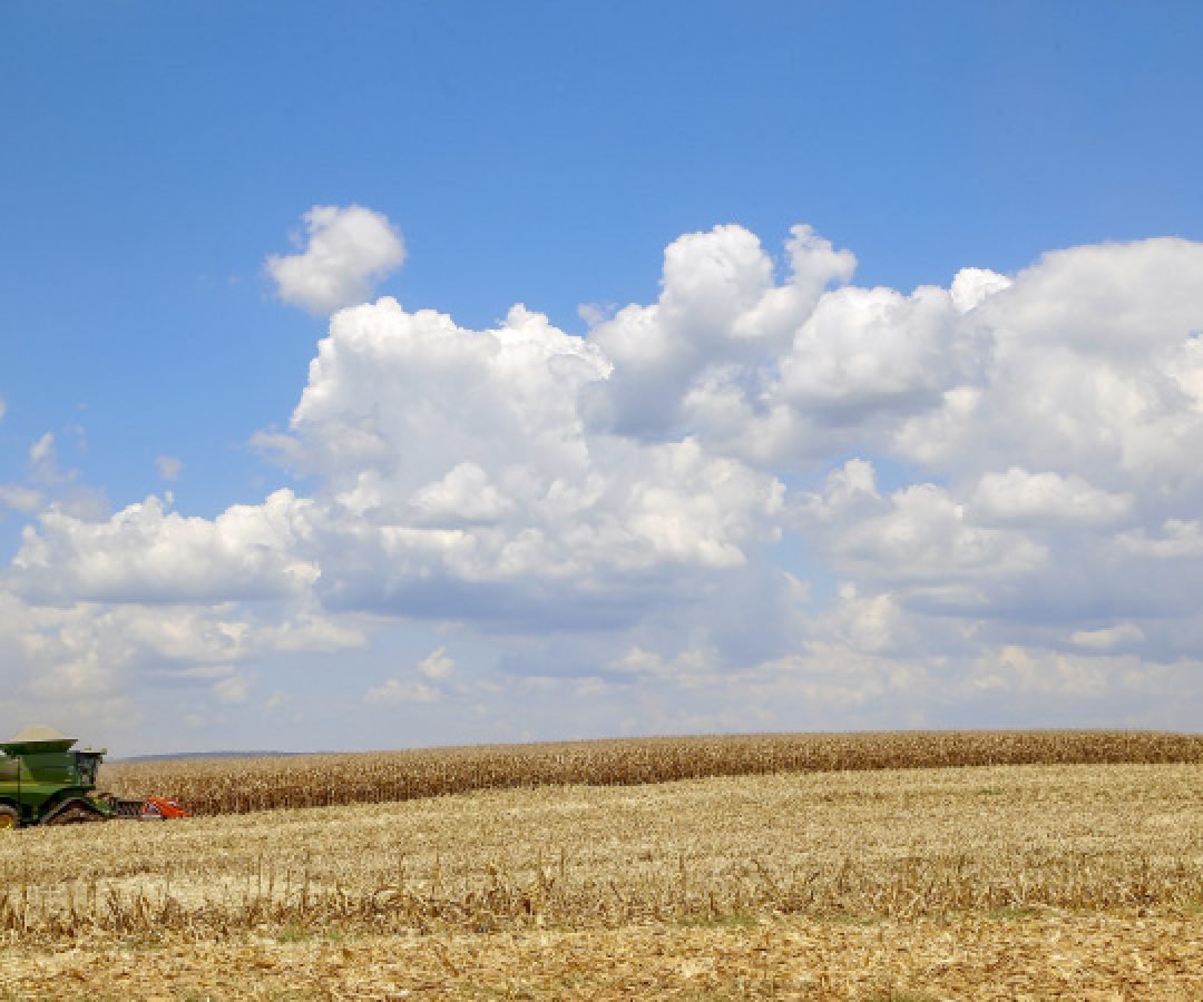 Paraná cresce acima da média nacional em 2023 e mantém 4º maior PIB do País