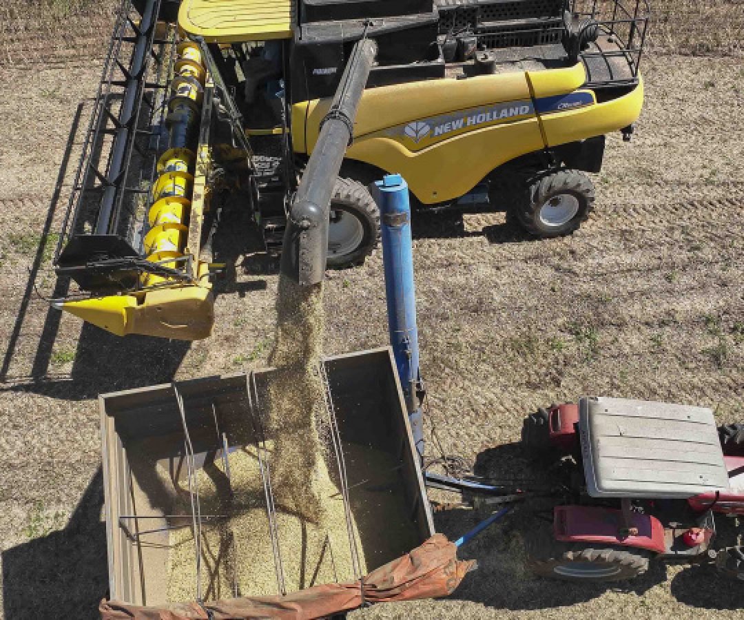 Paraná propõe ao governo federal R$ 670 bilhões para Plano Safra 2026/2027