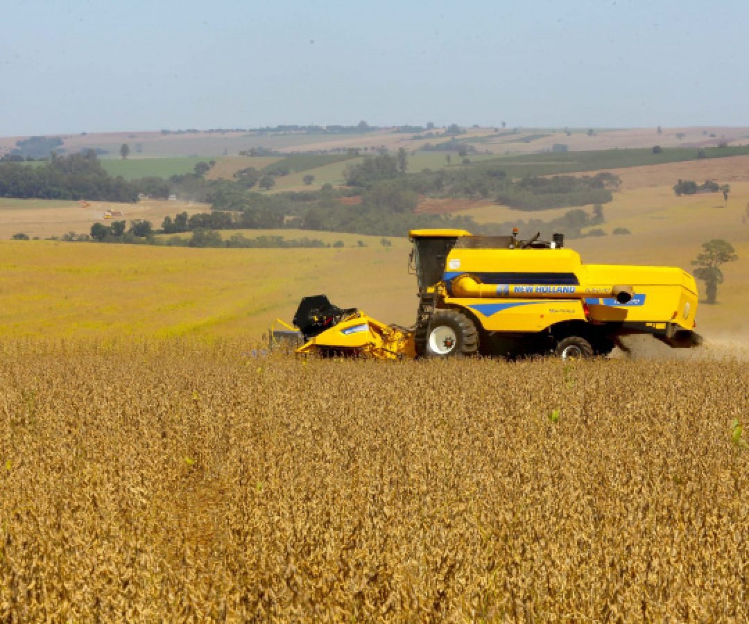 Safra de Soja do Paraná se aproxima do recorde e reforça otimismo, aponta Deral