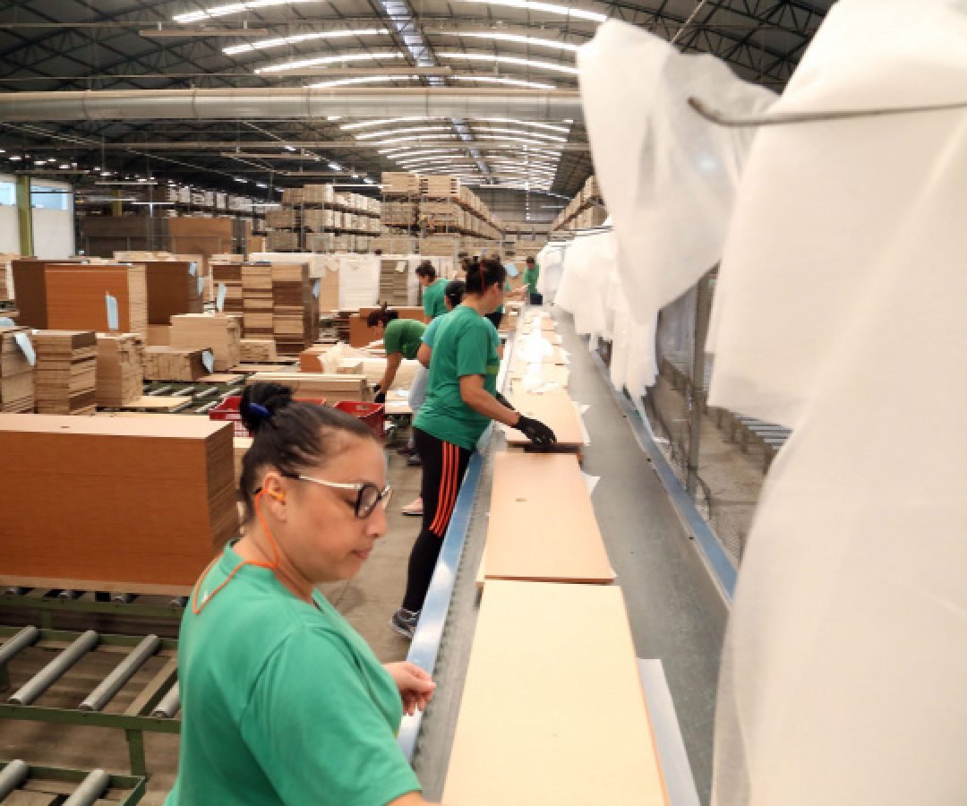 Paraná lidera contratação de mulheres e jovens na Região Sul em 2025