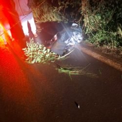 Colisão traseira na PR-575 deixa motociclista morto em Nova Aurora