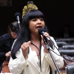 Comissão aprova garantia de direitos e proteção a indígenas LGBTIA+ no Brasil