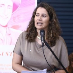 Comissão aprova projeto que cria o Programa Desenrola Cultura